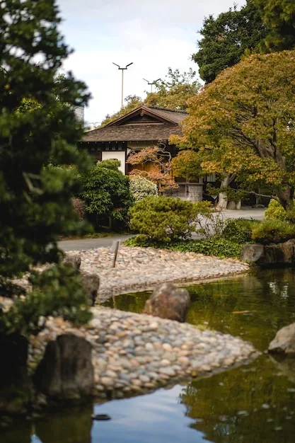 A traditional wooden house behind a pebble-edged pond and maple trees in autumn