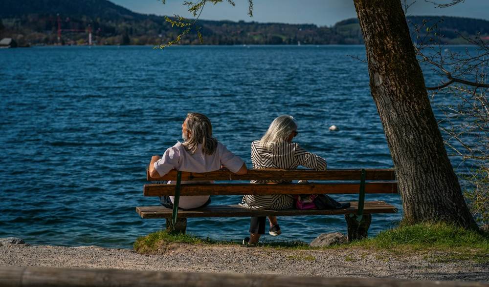 Two people sitting on a wooden bench under a tree, looking out over a calm lake