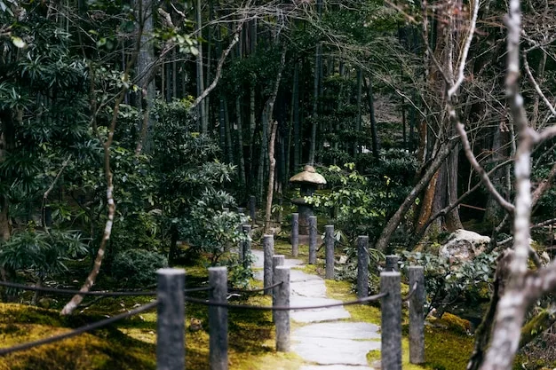 A mossy garden path of flat stones with a stone lantern among dark evergreen trees